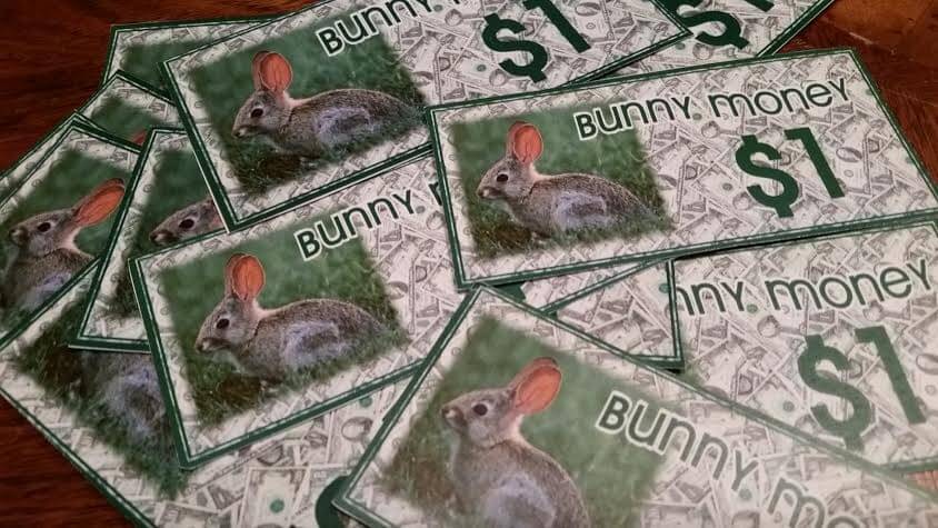 bunnymoney